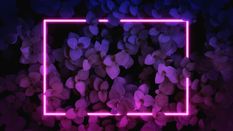 Relive CHAPTERD Sessions LIVE