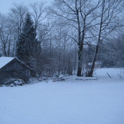 soulsearching 631 welcome...