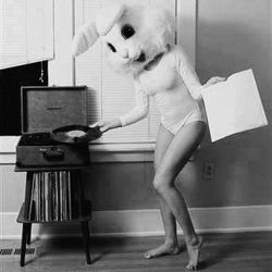 episode 269 - bunny radio hijack