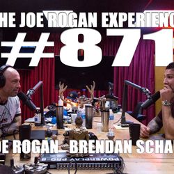 #871 - Brendan Schaub