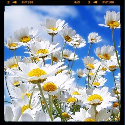 BamaLoveSoul presents Spring