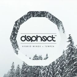 Hybrid Minds + Tempza - Dephect Winter 2016 Mix