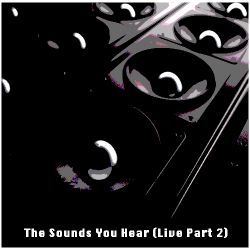The Sounds You Hear (Live Part 2)