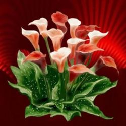 03:12:18 Boldog with Andras