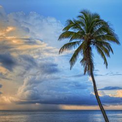 Quietmusic - June 11 (Hour 1 excerpt)