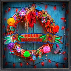 "These precious moments" - Christmas Session 2016