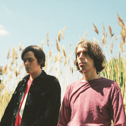 DUSK by Ultimate Painting