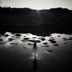 Laima Lisauskiene - Dimensions