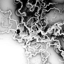 Universal Communique 04|30|16