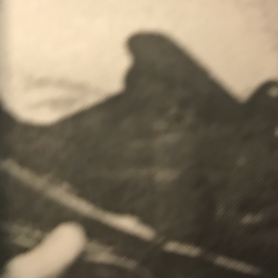 The Word on Bruzz: First show of 2017