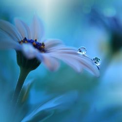 Ms Skyrym's Sunday Mixtape Episode 50