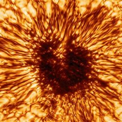 SIGNAL LIFE PODCAST #157