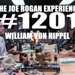 #1201 - William von Hippel