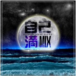 Self-Satisfaction 2016 MIX Pt.2