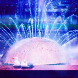 March 8 - 21, 2022 Seattle Center International Fountain Mix