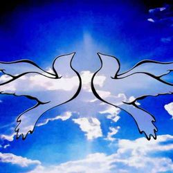 Skyrym Visions - Set for Peace 