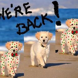 InSein Radio - Meet us in Ibiza