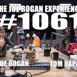 #1061 - Tom Papa