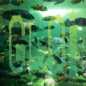 gloi - perylene green (mix)
