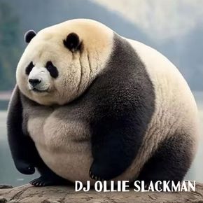 Chubby Mix