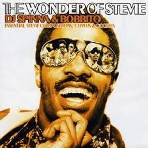 Dj Spinna & Bobbito The Wonder of Stevie by Soul Cool