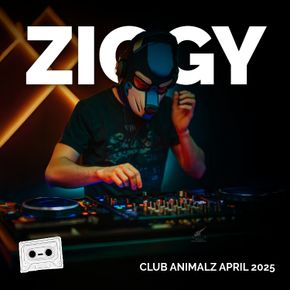 ZIGGY LIVE @ ANIMALZ APRIL 2025 artwork