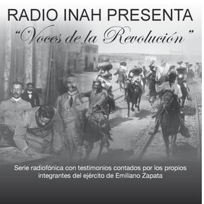 Voces de la Revolución: Organización Militar del Ejército Libertador del Sur