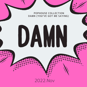 Damn(You've Got Me Saying)/2022.Nov/David Guetta,Galantis,Tiesto,KREAM,Sonny Bass,John Summit,Alok