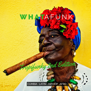 Whatafunk - Tropifunky Mixtapes (2016) / cumbia, latin, hip hop, afro Whatafunk - Tropifunky Mixtapes (2016) / cumbia, latin, hip hop, afro