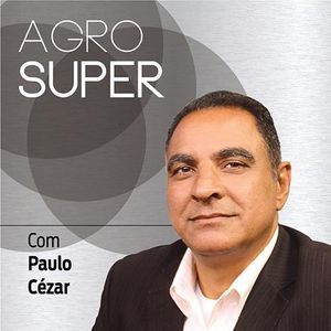 Oito em cada dez carros no Brasil são flex