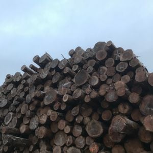 Intention, Impact, Output #8