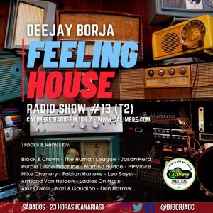 FEELING HOUSE RADIO SHOW #13 (T2) Selected & Mixed by Deejay Borja (2021-11-27)