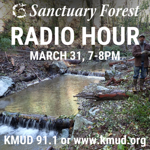 Sanctuary Forest Radio Hour 3/31/22