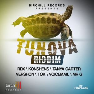 TUN OVA RIDDIM (DJ DZL EXTENDED MIX)