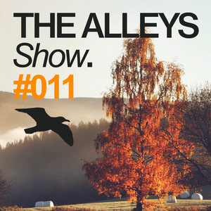 THE ALLEYS Show. #011 Braak