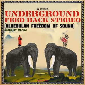 Underground Feed Back Stereo (Akebulan Freedom of Sound)