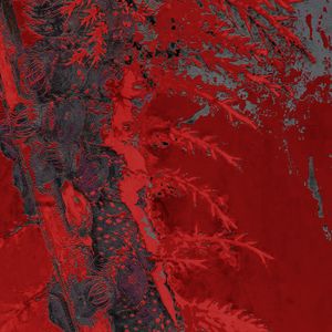 TEXTBEAK - CXB7 RADIO #414 IRON TASTE