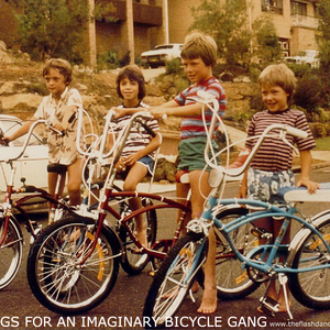 gang bicycle