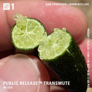 Public Release Transmute w/ Eug – 23rd of October 2020