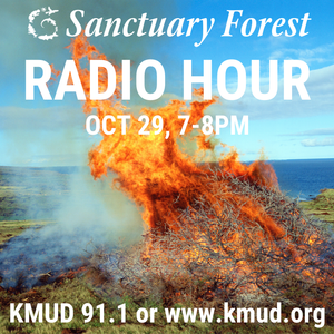 Sanctuary Forest Radio Hour 10/29/20