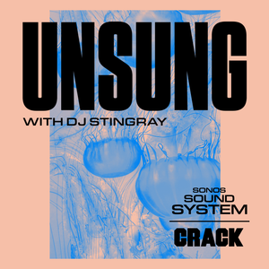 Cover art for DJ Stingray by sonos