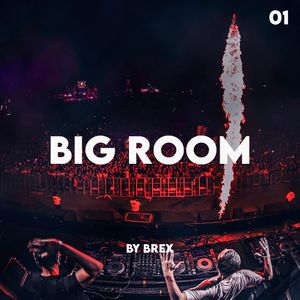 Best Big Room Electro House Dance Party Mix 01 By Dj Brex By Brexmusic Mixcloud