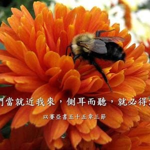 等候神 6 靜默有時 33分鐘 By 浸泡音乐 Mixcloud