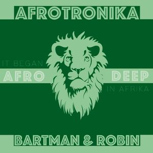 Afrotronika