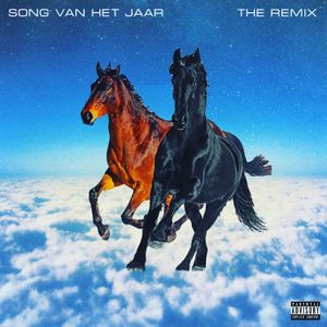 Song van het Jaar, The Remix 2019