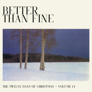 Better Than Fine: The Twelve Days of Christmas · Volume 14