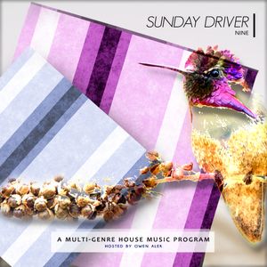 Sunday Driver with Owen Alek | Ep. 9 | #HouseMusic (Tech // Bass // Future) <08.11.2020>