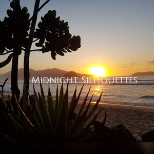 Midnight Silhouettes 11-14-21