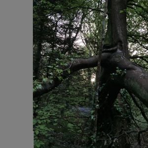 Intention, Impact, Output #5