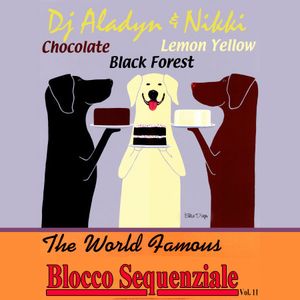 blocco sequenziale